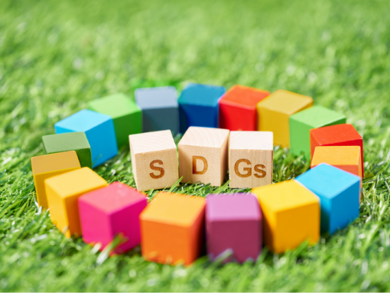 SDGs