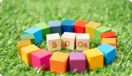 SDGs